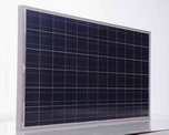 Poly Solar Module(220~300W)